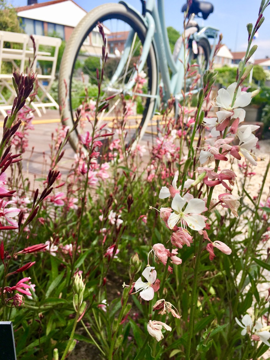 2C5BBA4F-5C39-4594-8AF9-F03A3D55AB0A