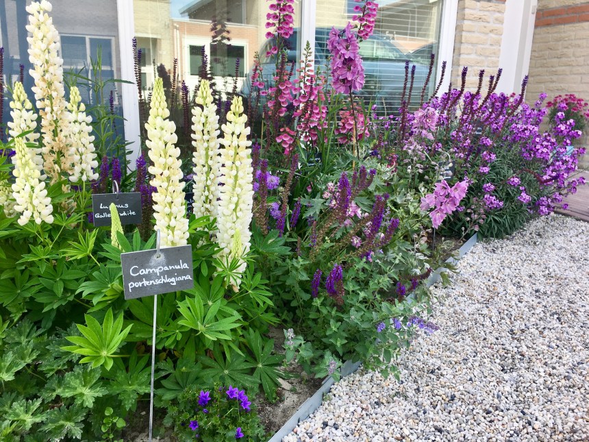 3E469C15-C47F-4872-A6E6-D8C658AF392E