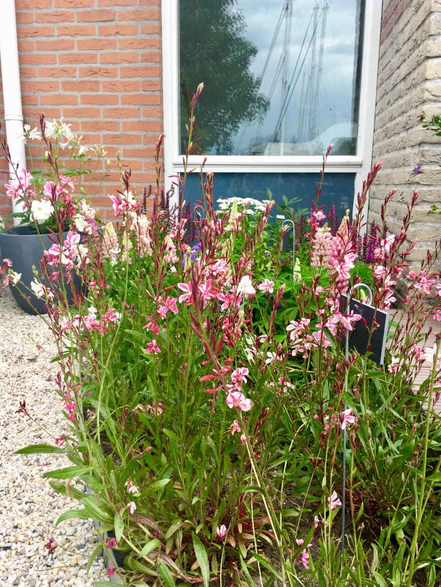 A0980FB0-381F-4067-A9BE-F11B751CEBF2