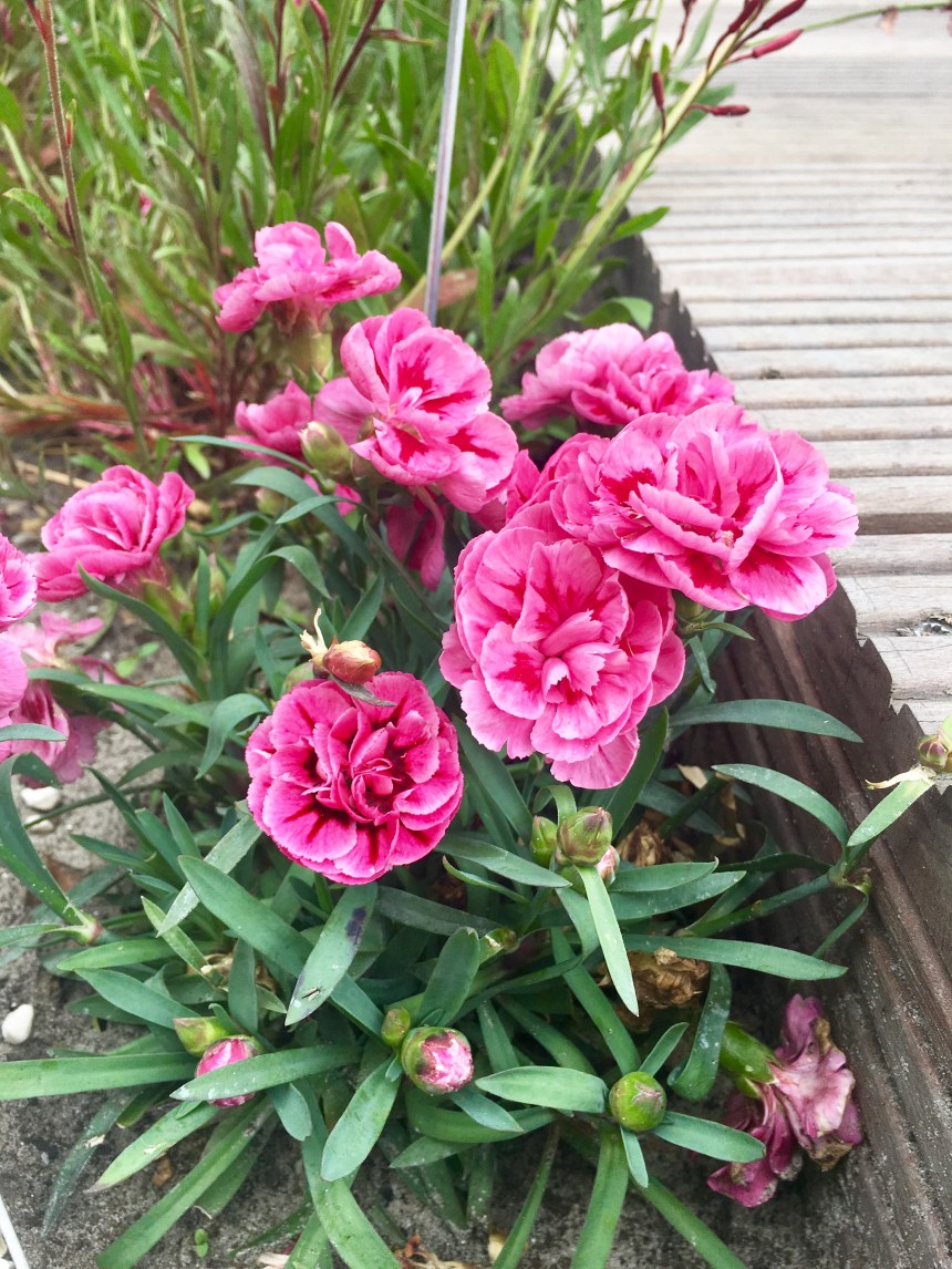 BA9379CB-7DE3-4DED-9462-501157BA6C9F