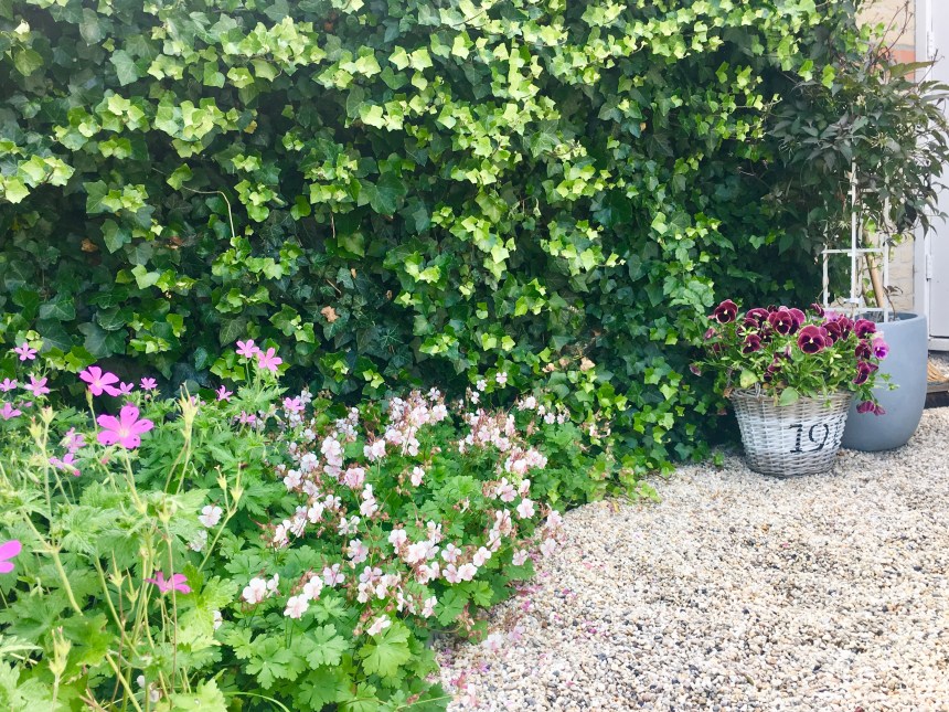 C747AC3B-60DA-4436-BA93-9BDB60E15550