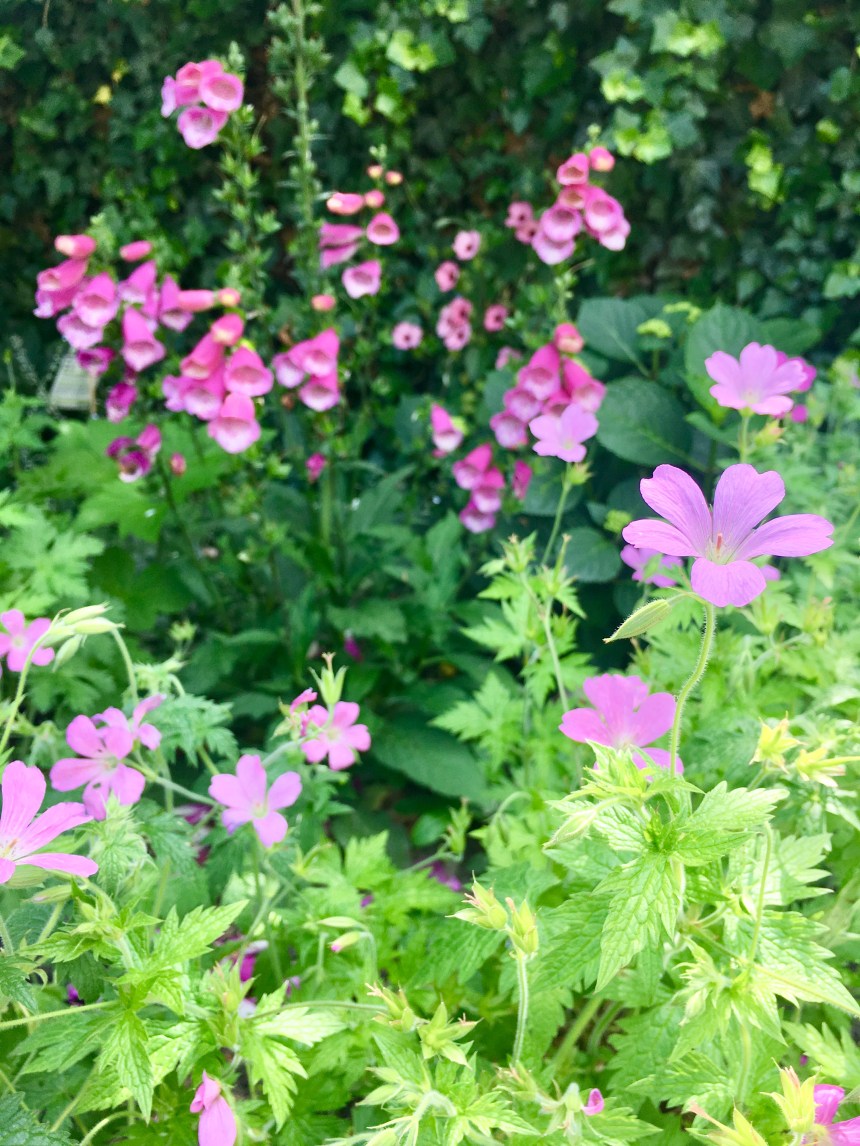 D0B94DDE-4743-4D74-9EEF-E7EAEB70B726