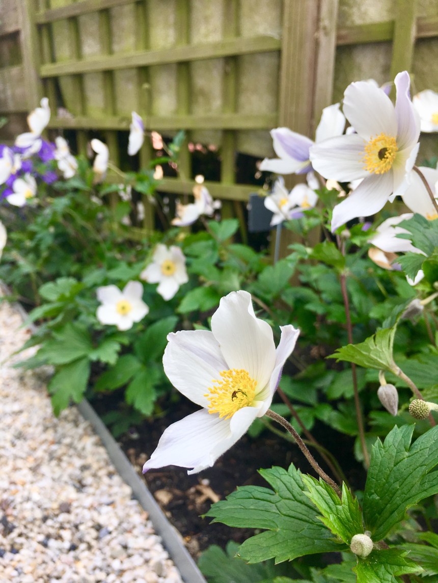 DE57CFC5-F149-41AD-874F-46EFCB398B6E