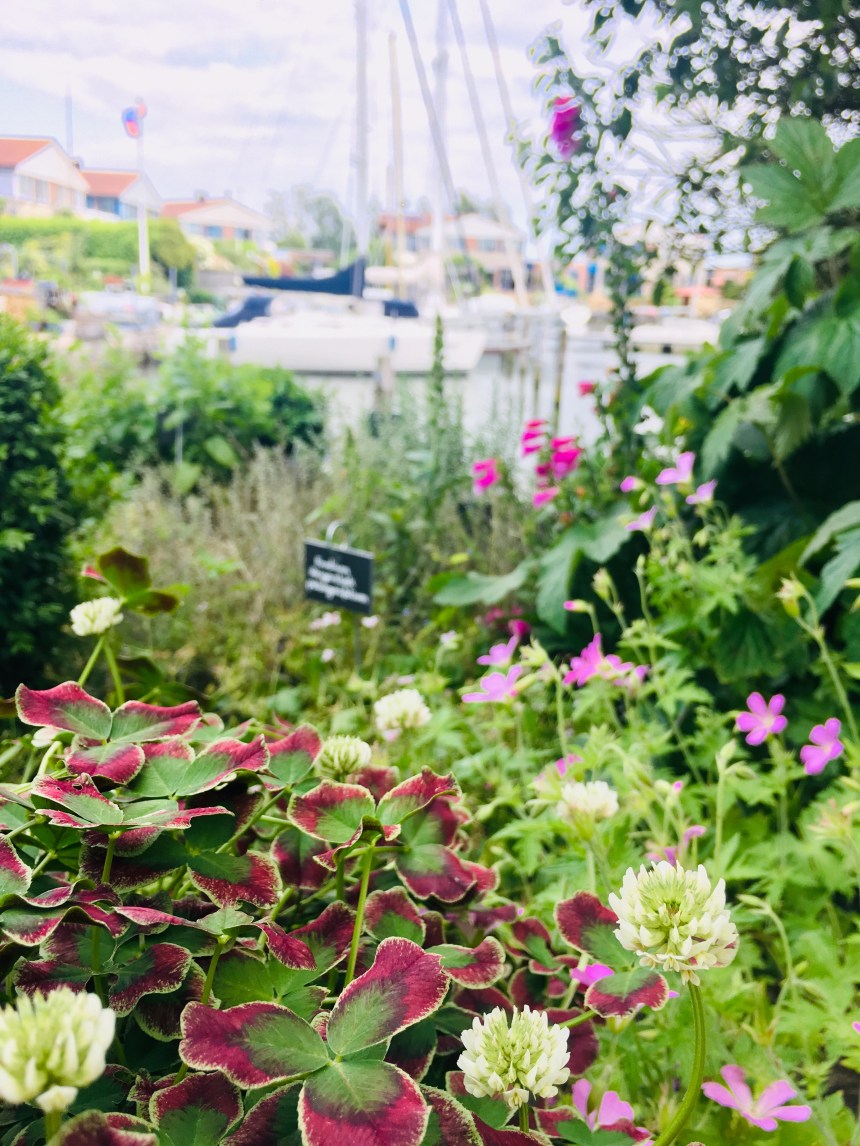 E7C2DA5F-DA0E-47D3-B423-9424F81BA059